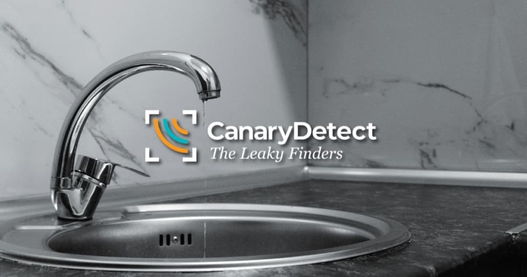 Revisiones de Agua DIY: Formas Sencillas de Proteger Tu Casa y Ahorrar Dinero