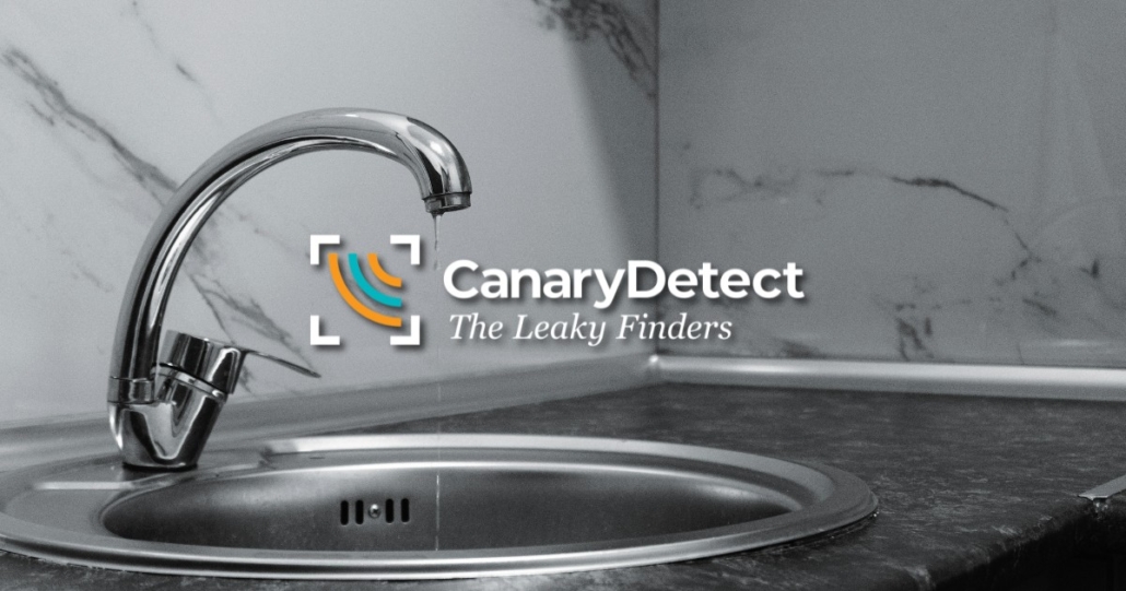 DIY Water Checks: Simple Ways to Protect Your Home and Save Money