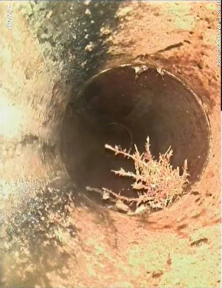Drain Inspection detail