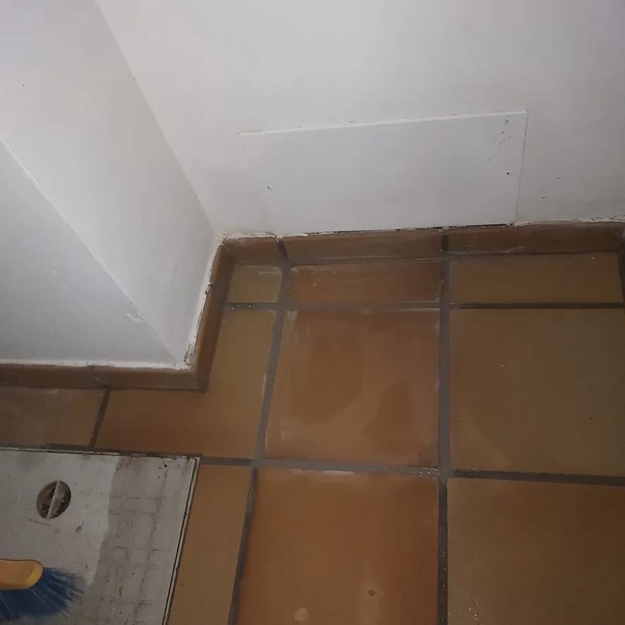 Reinstated floor after leak repair