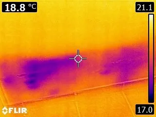 Thermal Imaging & Damp Survey detail 1